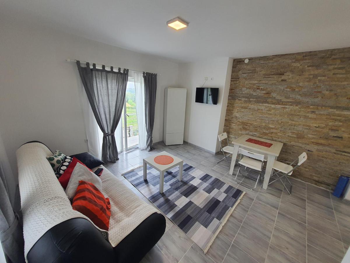 Odmor Na Selu Babajic Apartment Ljig Ngoại thất bức ảnh